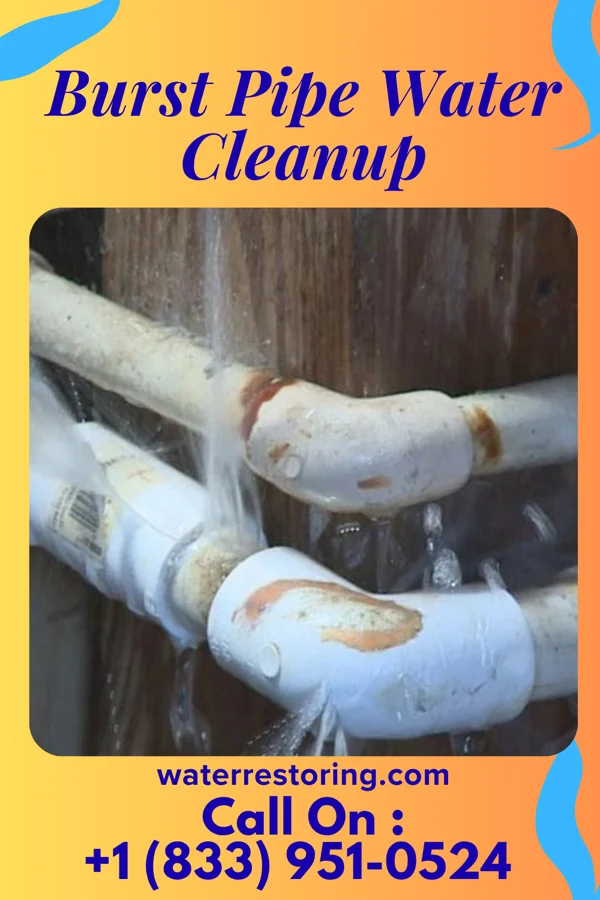 Burst Pipe Water Cleanup in On Top of the World Designated Place, FL